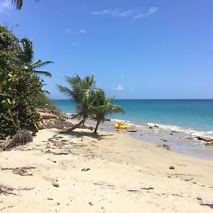 Relaxing Sunny Beach Side Near San Juan Loiza